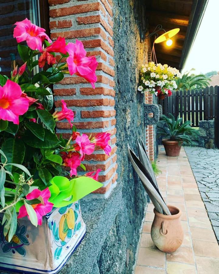 Apartament Il Tiglio Viagrande Zewnętrze zdjęcie
